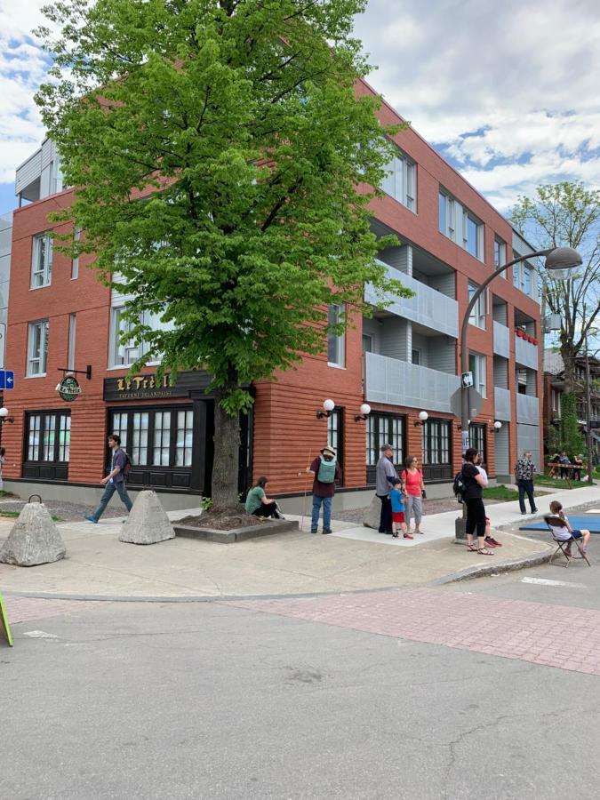 Le Studio Picasso "Parking Inclus" Квебек Екстер'єр фото